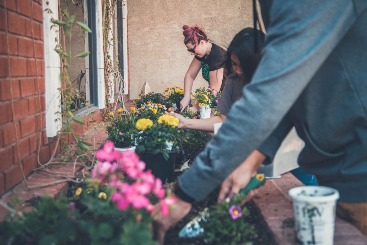 Study Shows Local Food Projects May Have a Positive Effect on Psychological Health