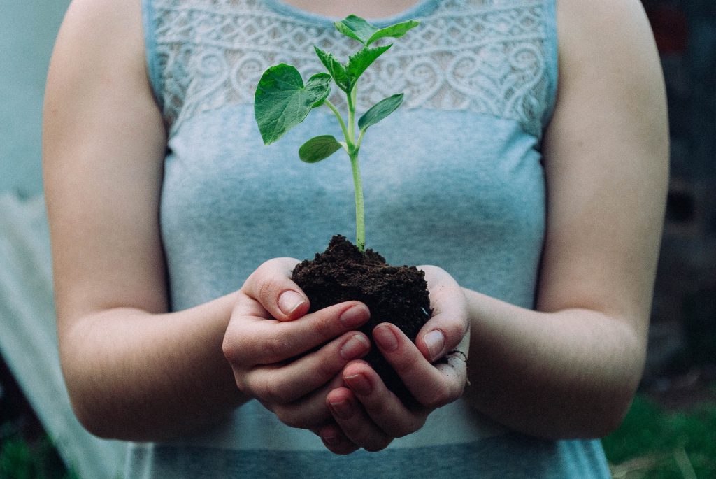 Composting and Sustainability